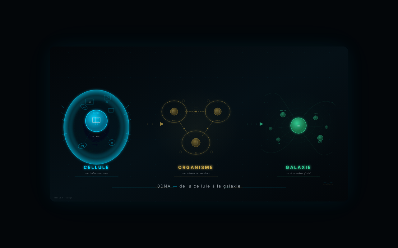 0DNA Concept — De la cellule à la galaxie